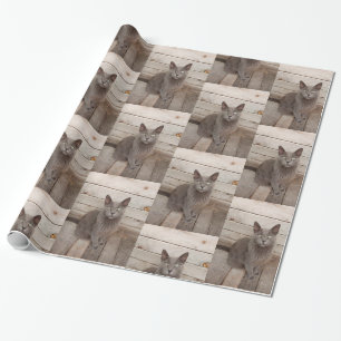 Grått-kattfoto Presentpapper