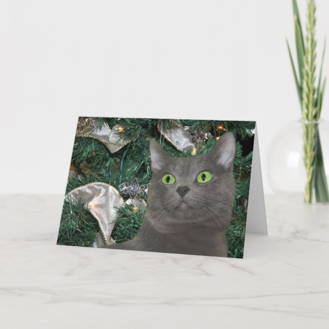 Grått kattunge jul helgkort (Framsida)