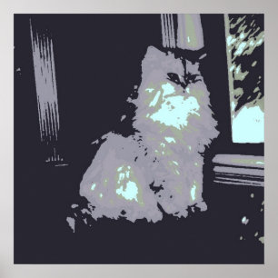 Grått Kattunge Poster