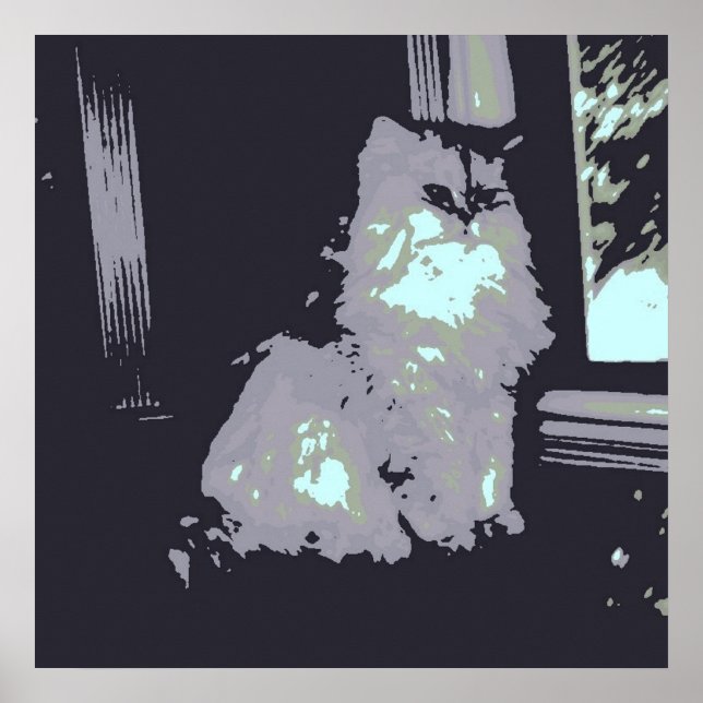Grått Kattunge Poster (Framsidan)