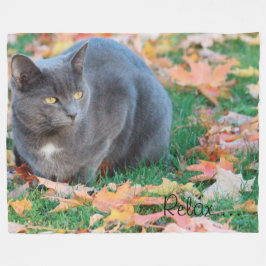 Grått Kattunge under hösten Fleecefilt