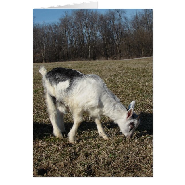 Grått Kid Hälsningskort (Framsidan)