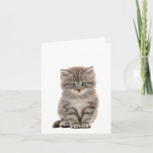 Grått Kitten anteckningskort