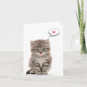 Grått Kitten för att tänka på dig Kort