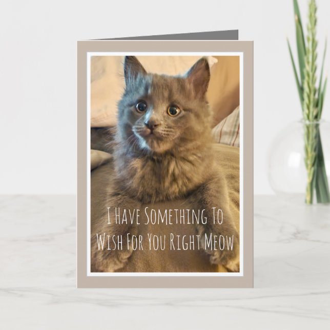 Grått Kitten Funny Birthday Card från katten Kort (Framsida)