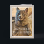 Grått Kitten Funny Birthday Card från katten Kort<br><div class="desc">Lustigt födelsedagskort från katten</div>