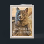 Grått Kitten Funny Birthday Card från katten Kort<br><div class="desc">Lustigt födelsedagskort från katten</div>