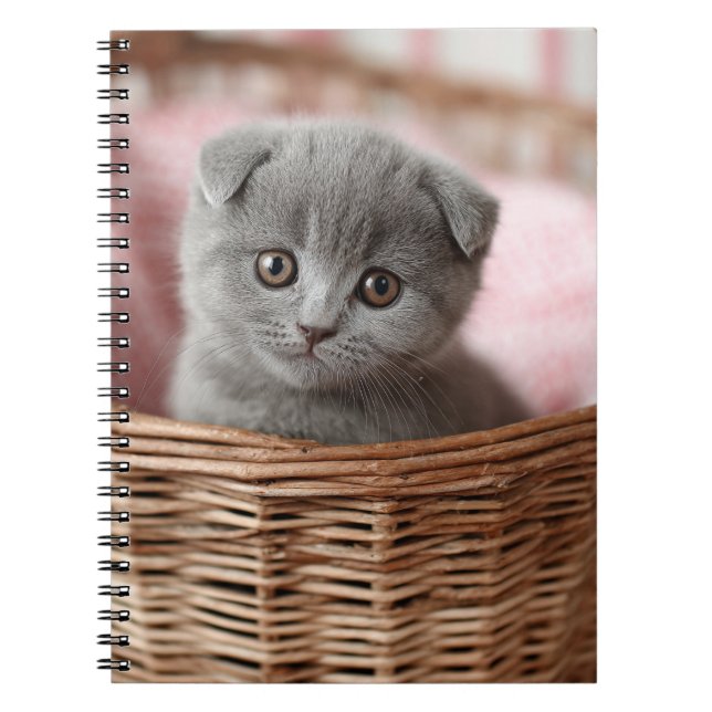 Grått Kitten i Basket bärbara dator Anteckningsbok (Framsidan)