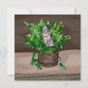 Grått Kitten i Catnip-bucket Tack Kort