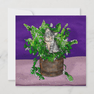 Grått Kitten i Catnip-bucket Tack Kort