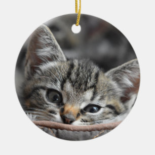 Grått Kitten Julgransprydnad Keramik