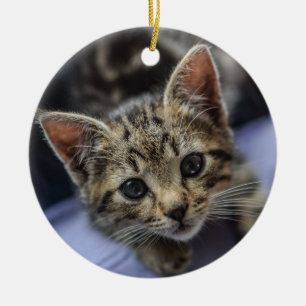 Grått Kitten Julgransprydnad Keramik