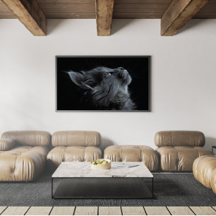 Grått Kitten med Grönt Ögon Poster