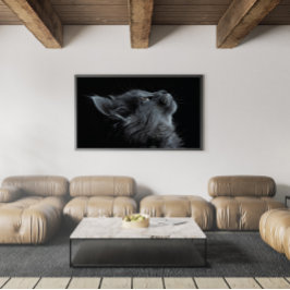 Grått Kitten med Grönt Ögon Poster