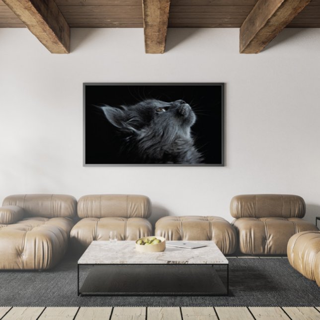 Grått Kitten med Grönt Ögon Poster (Skapare uppladdad)