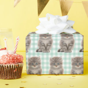 Grått Kitten On Grönt och White Gingham Presentpapper