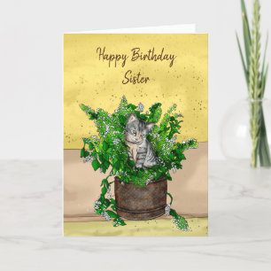 Grått Kitten sitta i en prick av Catnip Birthday Kort