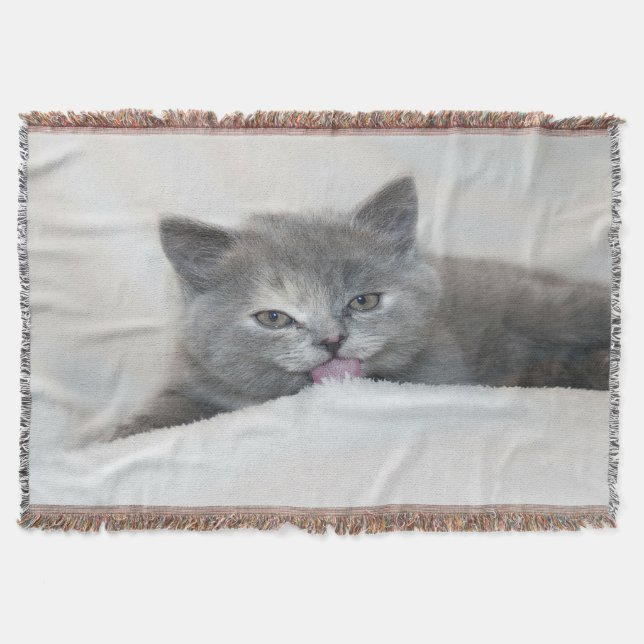 Grått Kitten Slickande Snö Filt (Framsidan)