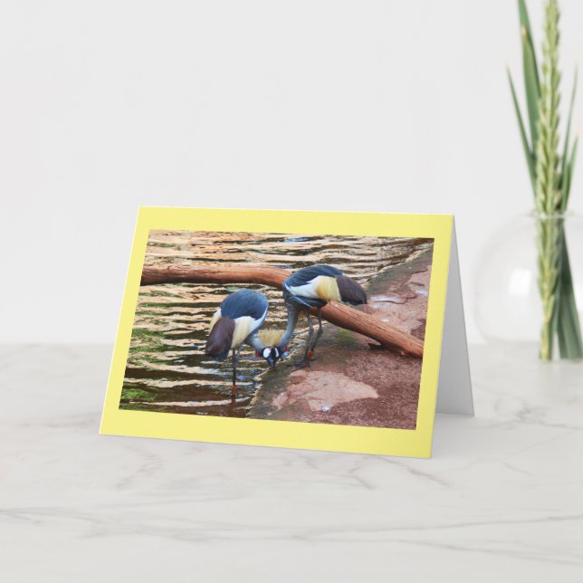 Grått-kranar Helgkort (Framsida)