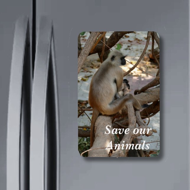 Grått Langur - Ta en viloperiod Magnet (Skapare uppladdad)