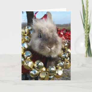 Grått Lionhead Bunny jul Helgkort