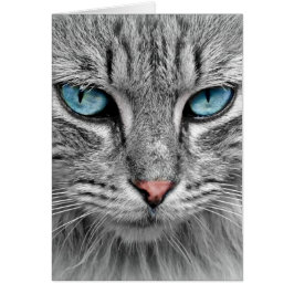 Grått Long Hair Cat Blue Grönt Öga Pet Animal Hälsningskort