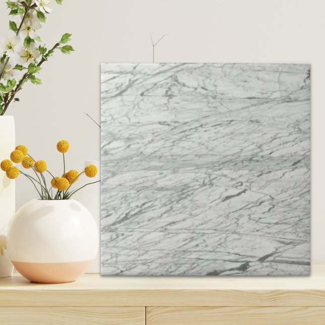 grått marble-snyggt av modern chic kakelplatta (minimalist stylish modern chic grey marble ceramic tile)