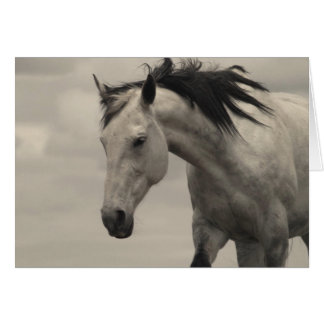 Grått Mare Hälsningskort