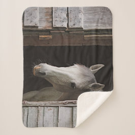 Grått Mare Horse Animals Sherpa Fleece Blanket
