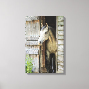 Grått Mare Horse & Barn Rustic Kanvastryck