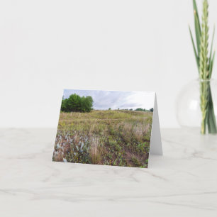 grått Molddyes prairie liggande Tack Kort