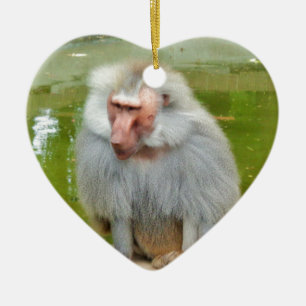 Grått Monkey, Ape Macaque, Nature, Animal Wildlife Julgransprydnad Keramik