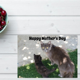 Grått Mor Cat & Black Kitten Lycklig Mors dag Kort