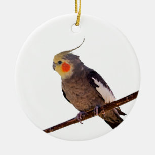 Grått och Gult Cockatiel Pet Bird Färg Photo Julgransprydnad Keramik