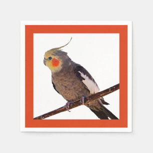 Grått och Gult Cockatiel Pet Bird Färg Photo Pappersservett