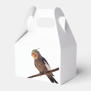 Grått och Gult Cockatiel Pet Bird Färg Photo Presentaskar