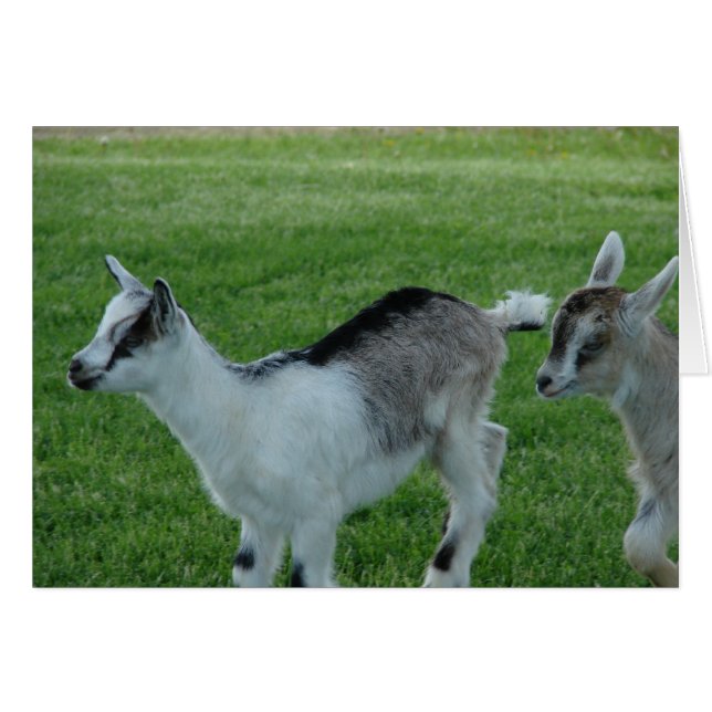 Grått och rött hälsningskort (Framsidan Horizontal)