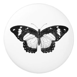 Grått och svart fjäril knopp