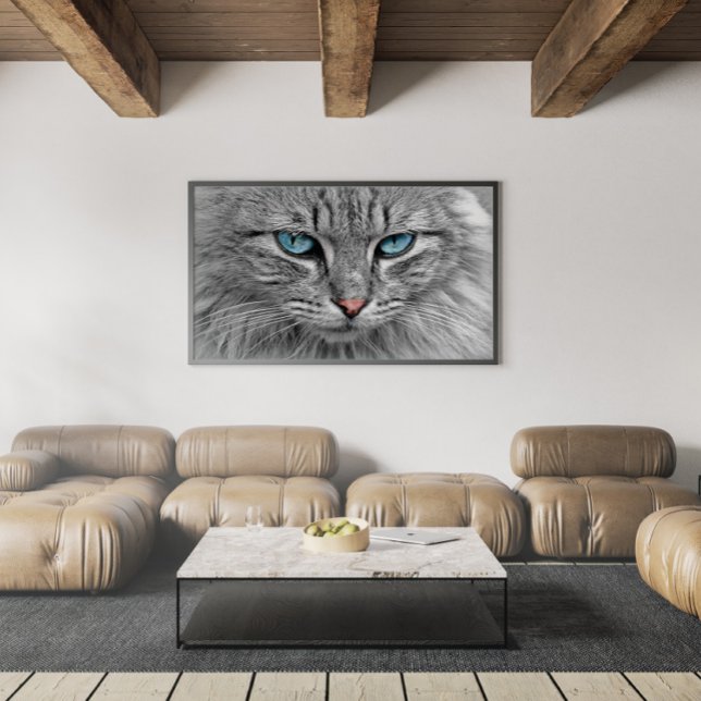 Grått och svart Tabby katt med vackra blå Ögon Poster (Skapare uppladdad)