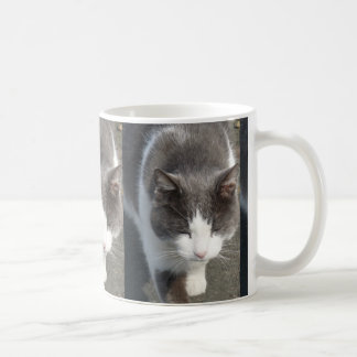 Grått och vit katt kaffemugg