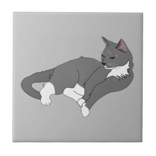 Grått och vit Tuxedo-katt Kakelplatta