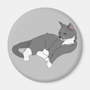 Grått och vit Tuxedo-katt Magnet