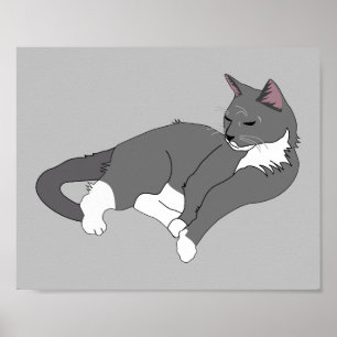 Grått och vit Tuxedo-katt Poster