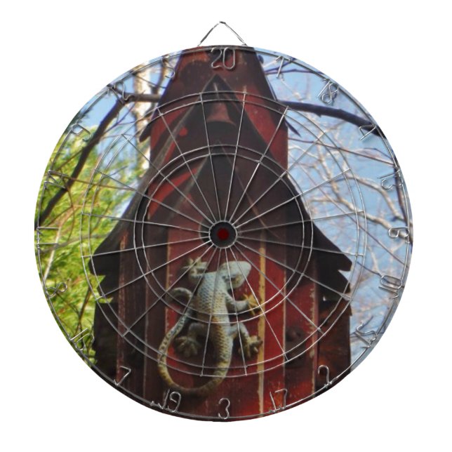 grått-ödla på trä darttavla (Framsidan)