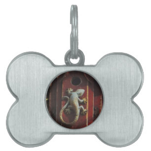 grått-ödla på trä ID-bricka husdjur