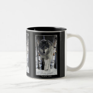 GRÅTT PACK VARG Collection Två-Tonad Mugg