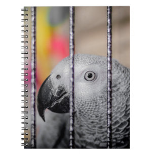 Grått Parrot Anteckningsbok Med Spiral
