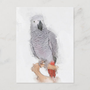 Grått Parrot Porträtt Faux Vykort