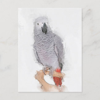 Grått Parrot Porträtt Faux Vykort