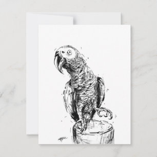 Grått Parrot Tack Kort